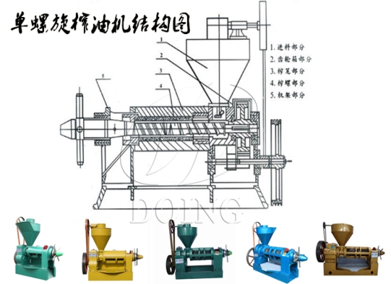 單螺旋葵花籽榨油機(jī) 單螺旋葵花籽榨油機(jī)